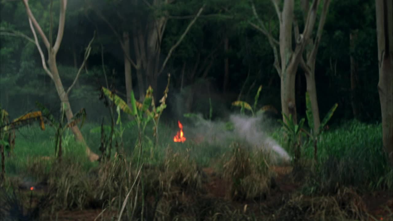 在受到攻击的森林或丛林边缘撤回。炸弹猛击大地，大火燃烧。空气中的烟雾和灰尘。bg的丛林或森林。视频素材