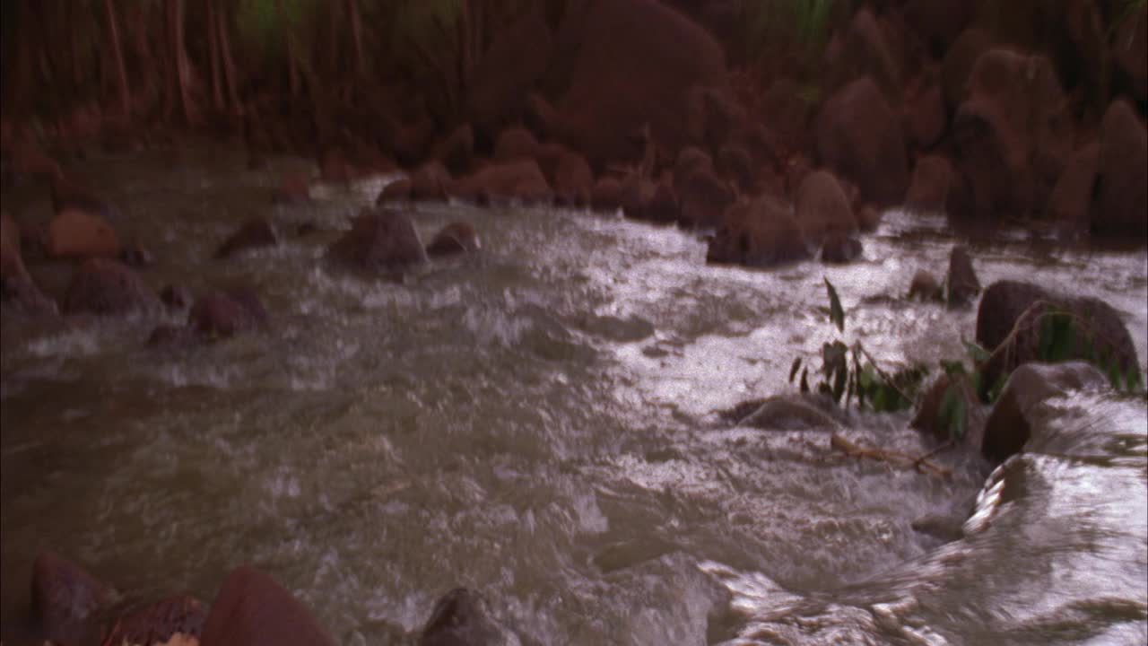 河流或小溪的中等角度。水中和岸边的岩石和圆石。视频素材