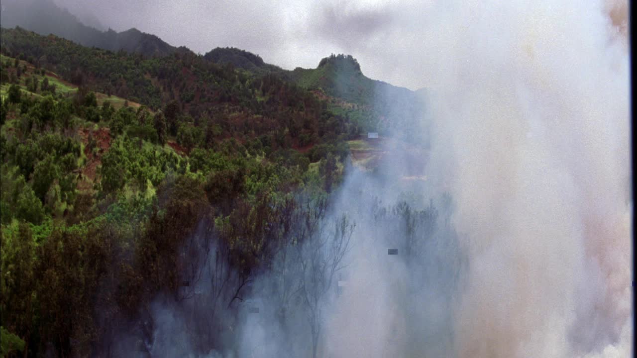 大角度的烟雾在树林里。山的山麓。热带。视频素材