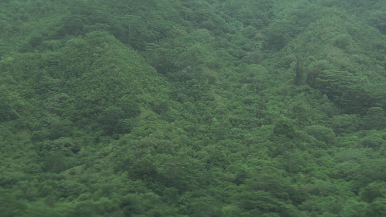 美国军用直升机sh-60b海鹰飞越热带雨林或丛林上空。山麓。视频素材