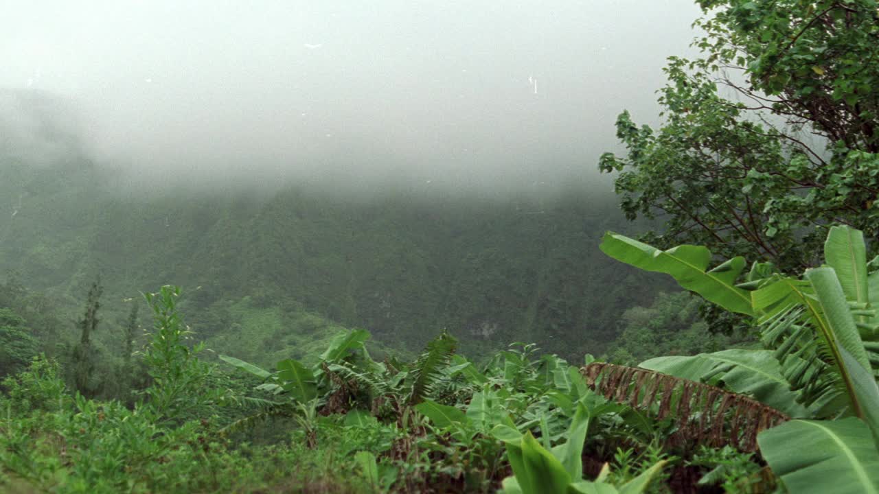 中角的山坡上长满青草，靠近山脉。周围有茂盛的热带植物和树木。可能是丛林或雨林。雾笼罩着山。带着枪和行李的狙击手。士兵穿着迷彩。视频素材