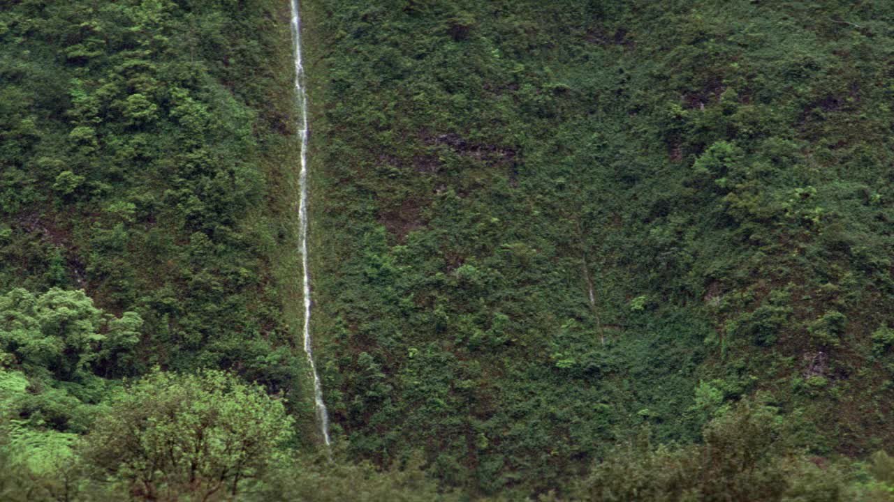 在郁郁葱葱的山上，瀑布的中角。被森林、丛林或雨林覆盖的山脉。雾笼罩着山。可能在南美洲，非洲或亚洲。视频素材