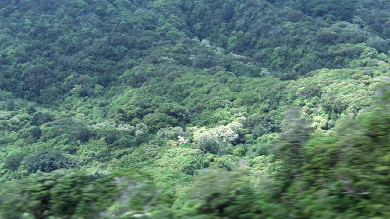 在空中拍摄热带雨林或山上的丛林。树。景观。视频素材