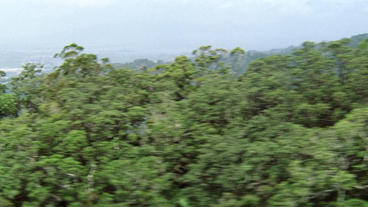 在空中拍摄热带雨林或山上的丛林。树。景观。视频素材