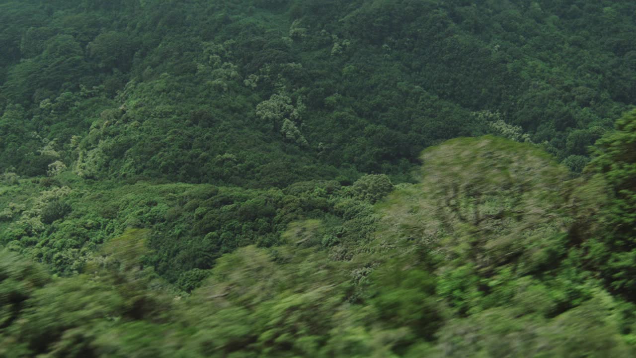 在空中拍摄热带雨林或山上的丛林。树。景观。视频素材