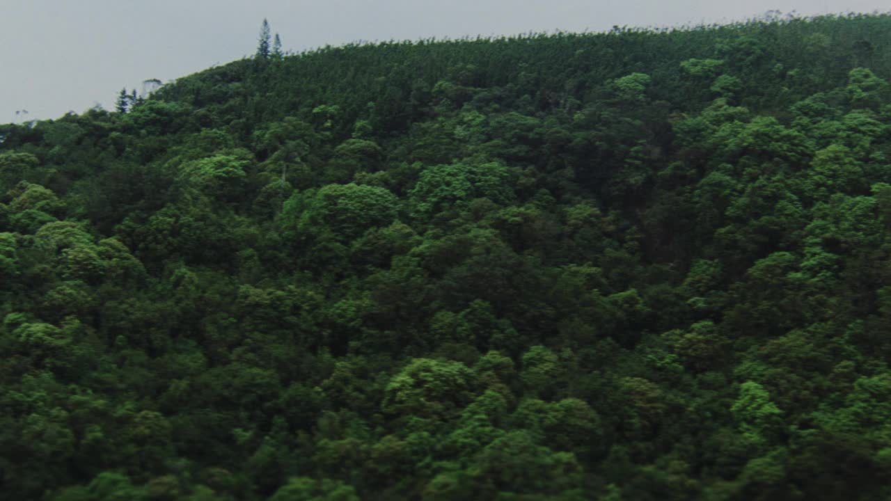 在空中拍摄热带雨林或山上的丛林。树。景观。视频素材