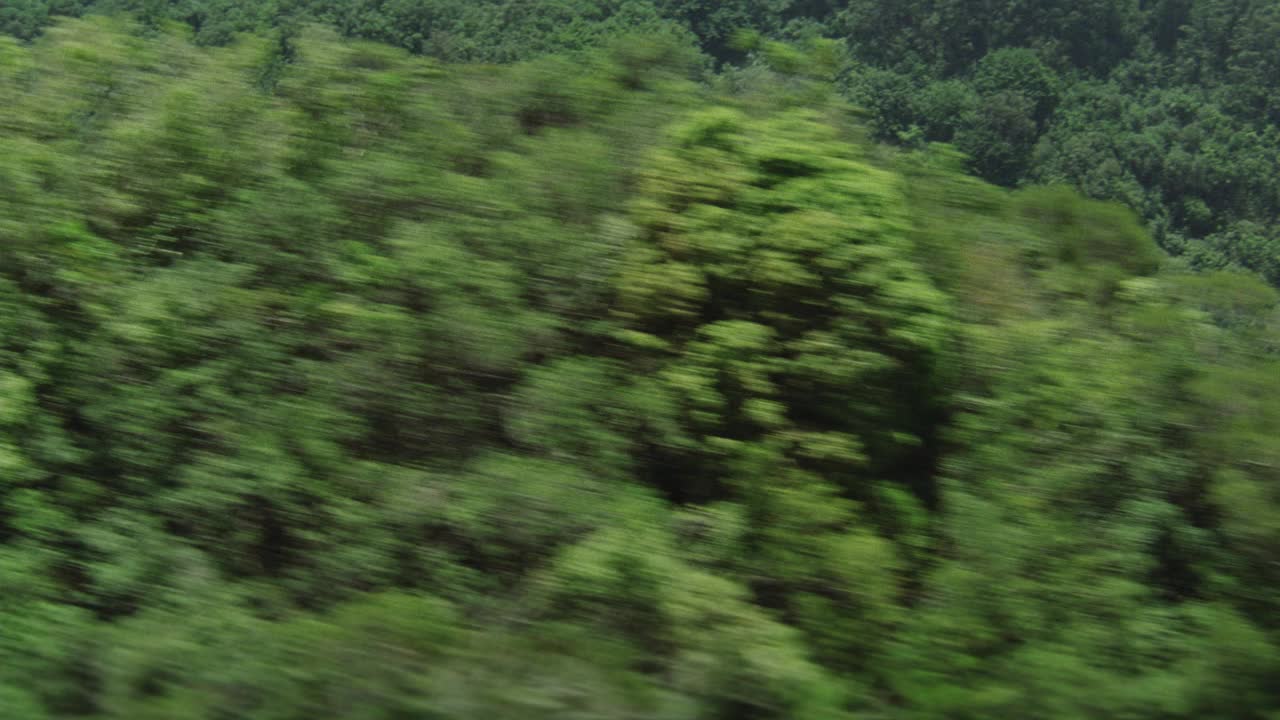 在空中拍摄热带雨林或山上的丛林。树。景观。视频素材