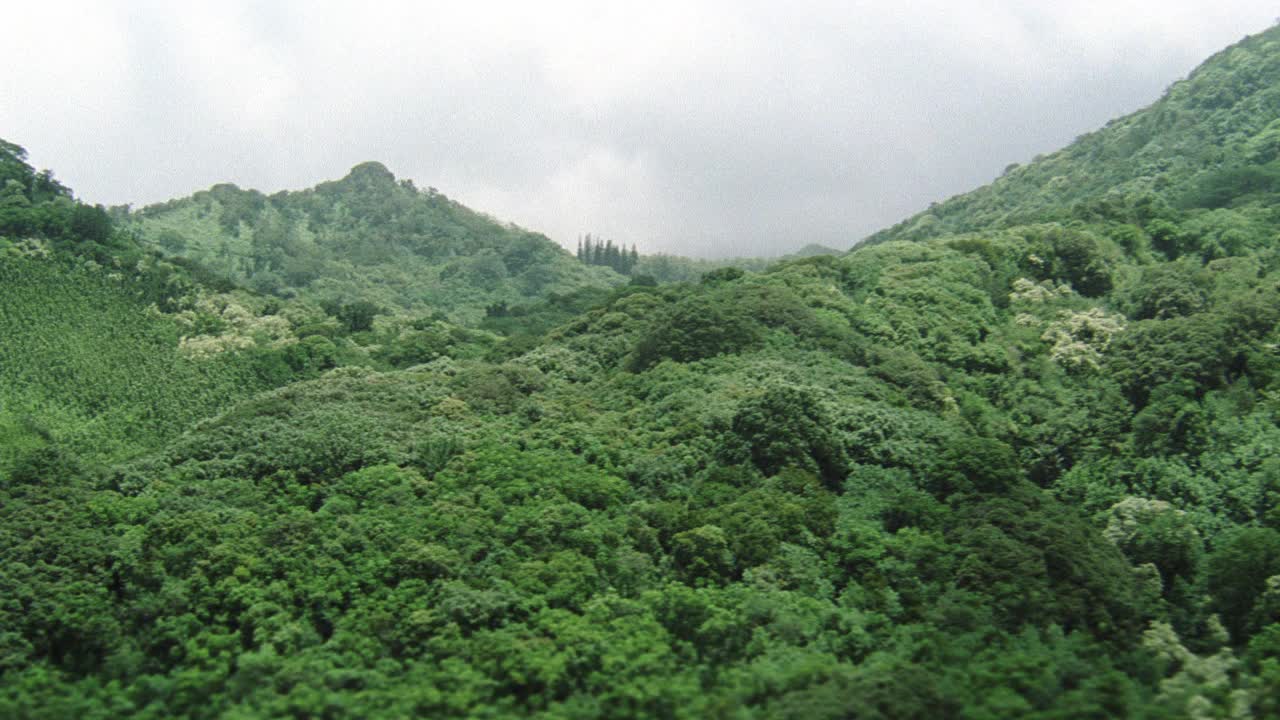 在空中拍摄热带雨林或山上的丛林。树。景观。视频素材