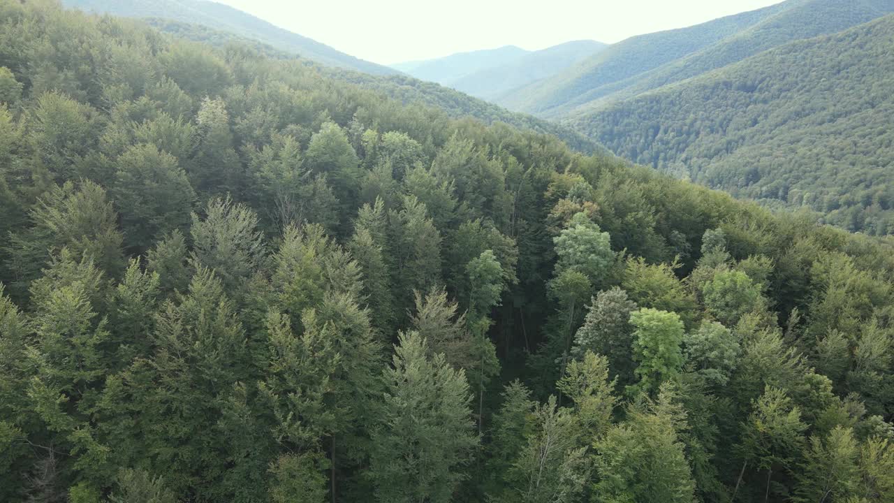 乌克兰喀尔巴阡山脉白天，鸟瞰图视频素材