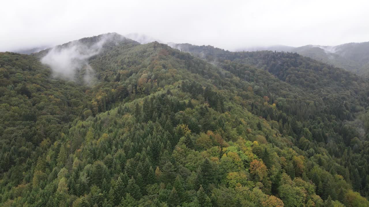 乌克兰喀尔巴阡山脉白天，鸟瞰图视频素材