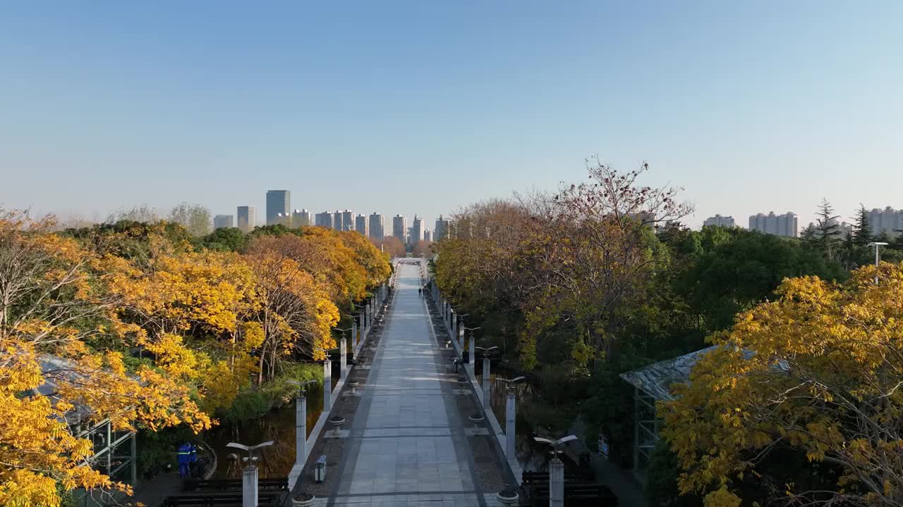 上海浦东世纪广场的城市景观视频下载