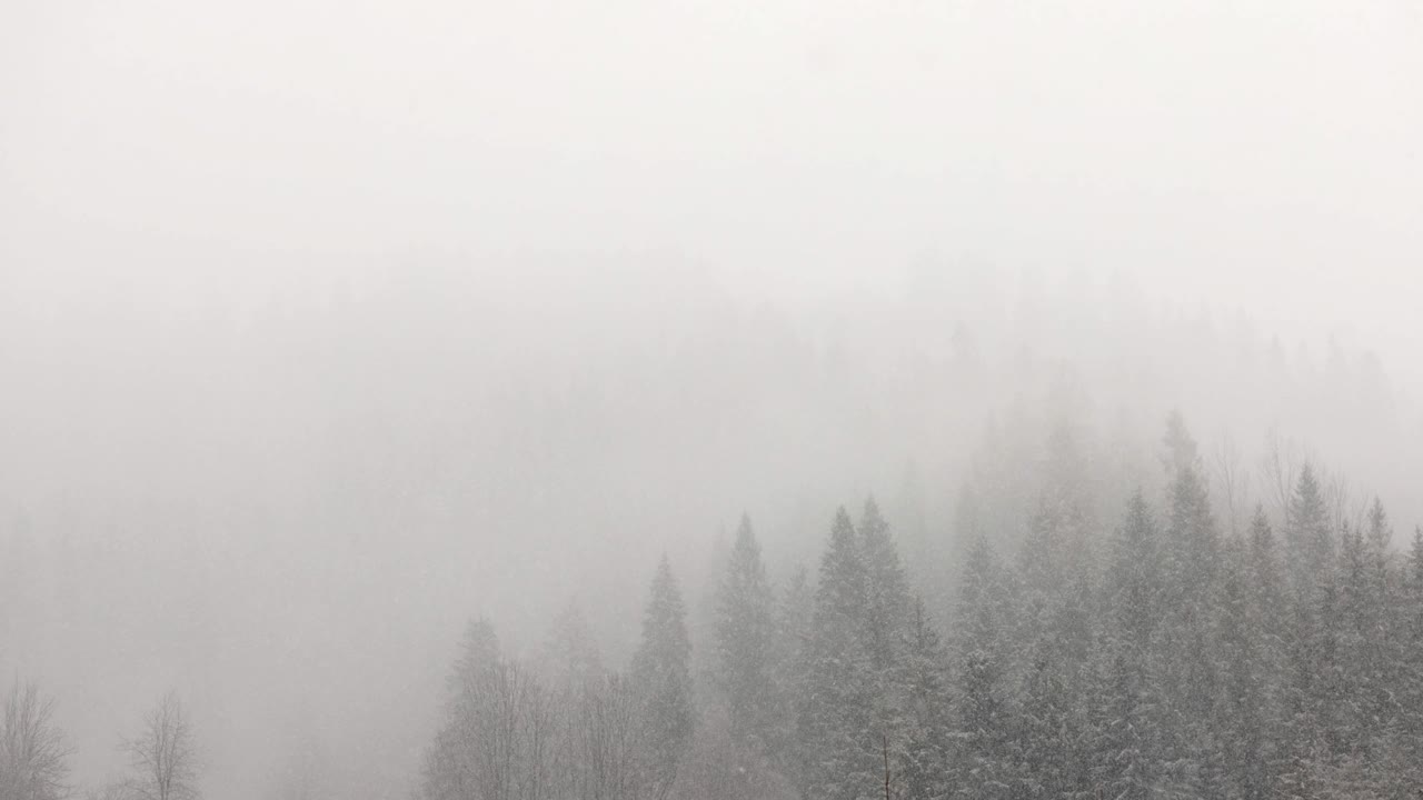 冬季山脉的降雪。雪山松林背景视频素材