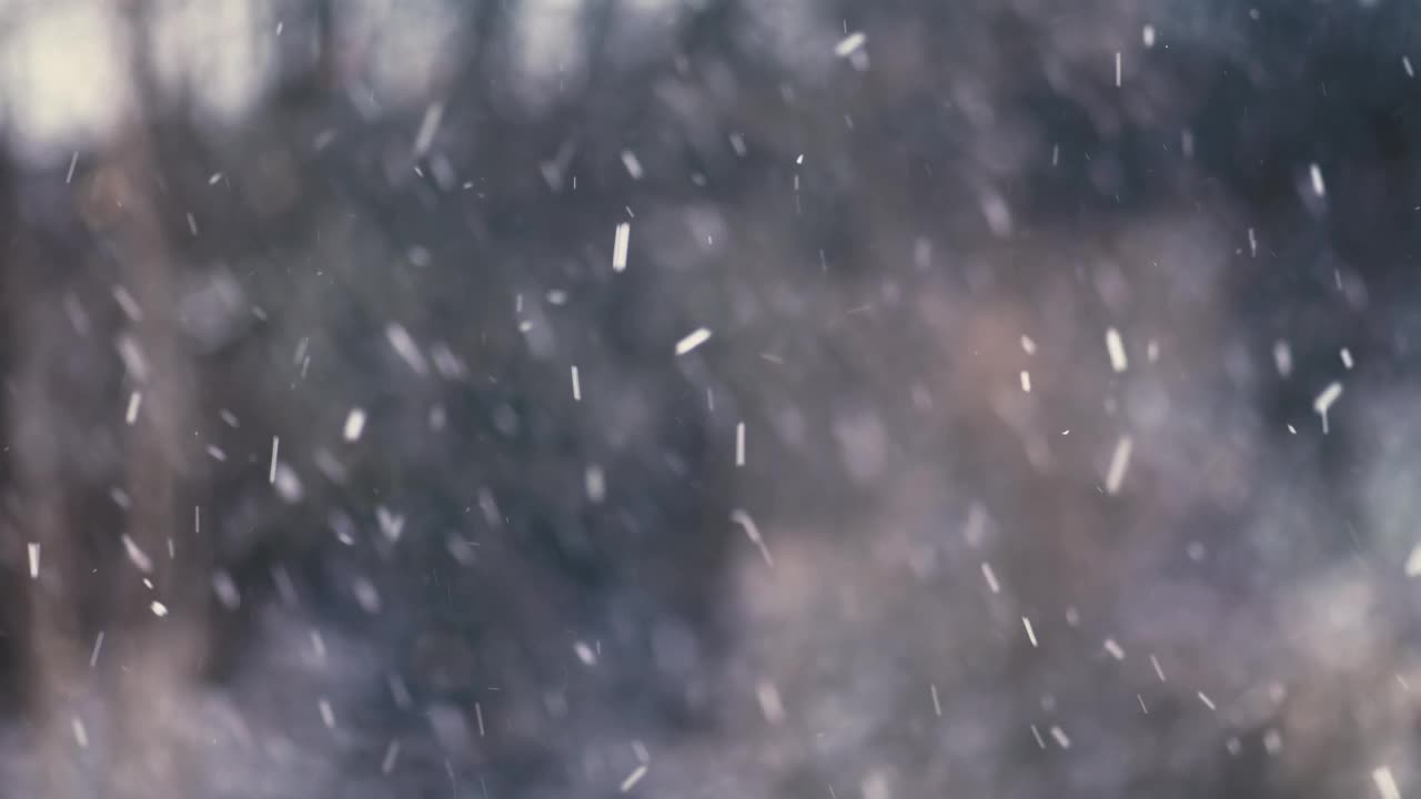 在寒冷的冬季自然背景下，雪下得很快视频素材