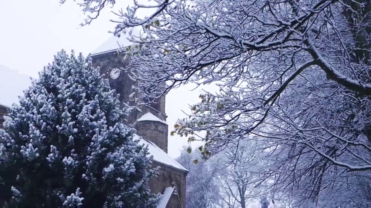 英国教堂冬天下雪穿过树枝视频素材