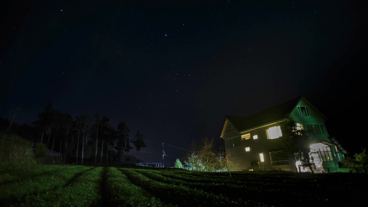 茶园里的明星尾巴视频素材