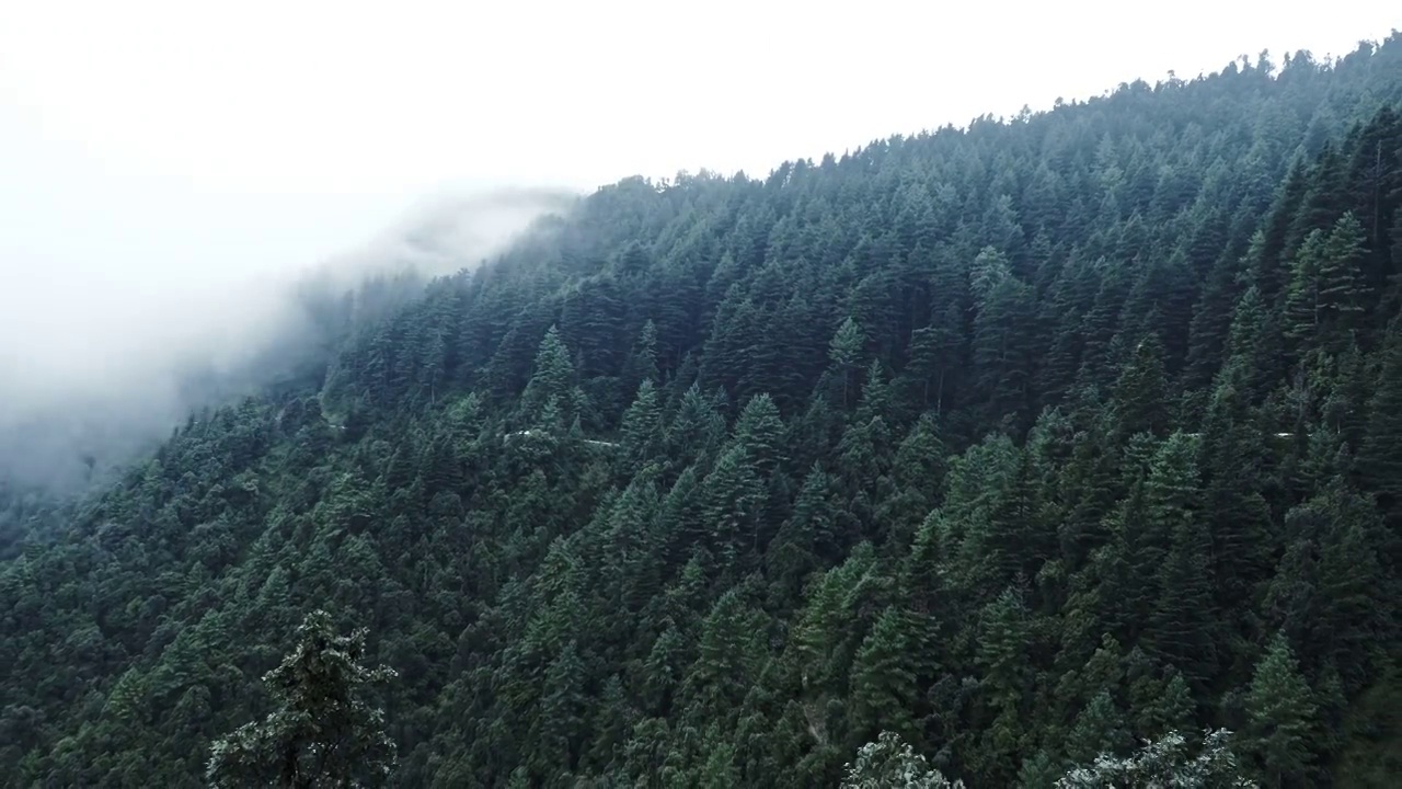 这张照片拍摄的是一个雾蒙蒙的日子，山上的美丽的雾和多云天气。视频素材