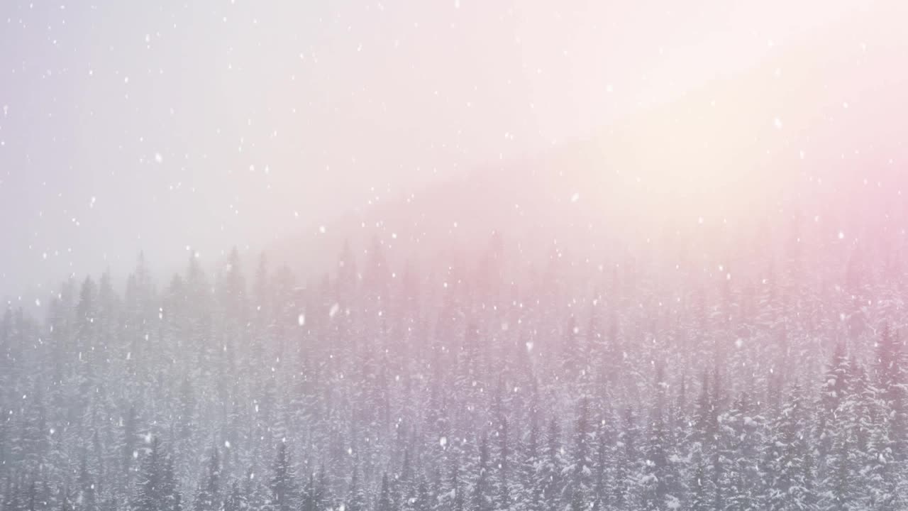 动画的雪落和发光点的冷杉树在冬天的风景视频素材