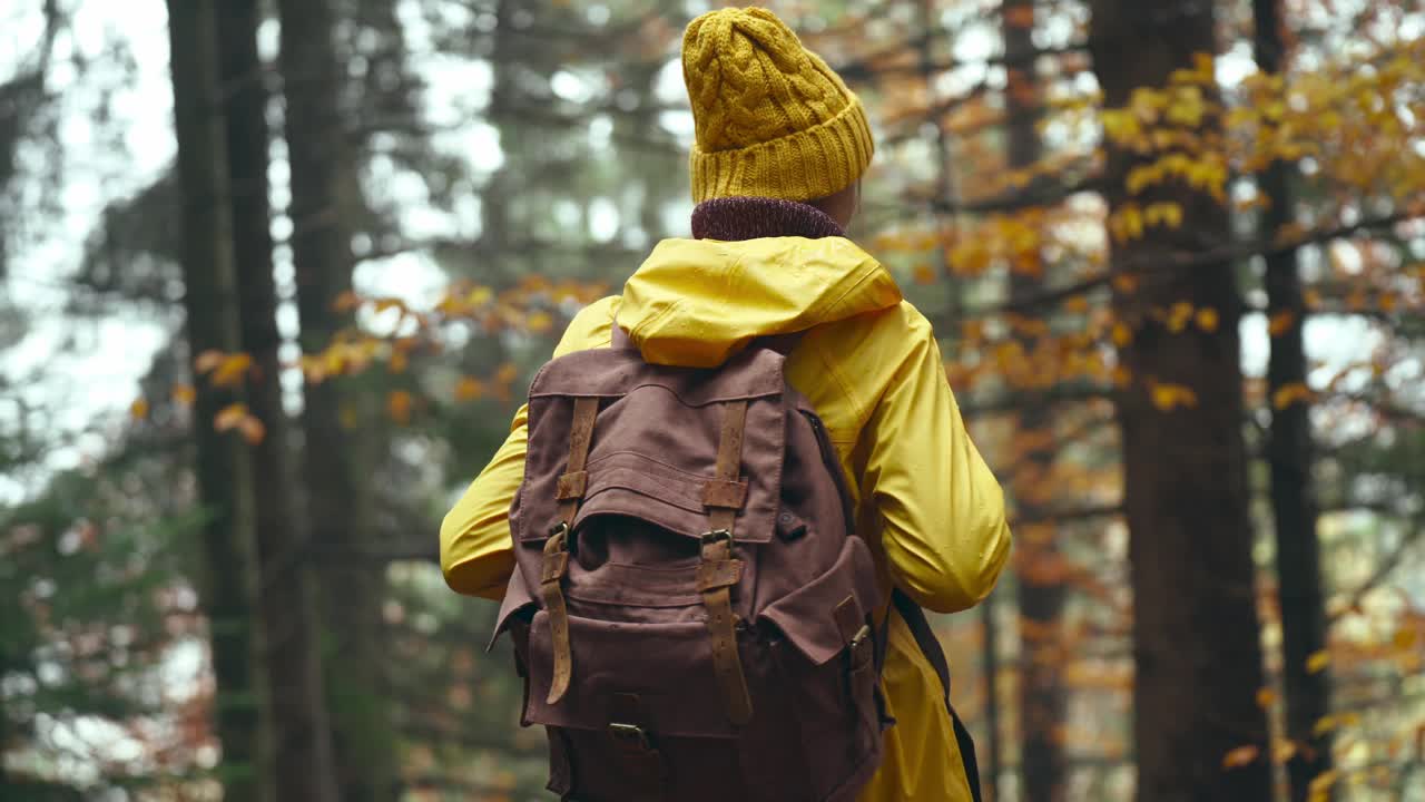 镜头跟随一名女子在阿图姆的森林里徒步旅行。大胆的女人在黄色户外穿着背包徒步在trail和平的绿色森林与跟踪镜头从后面视频素材