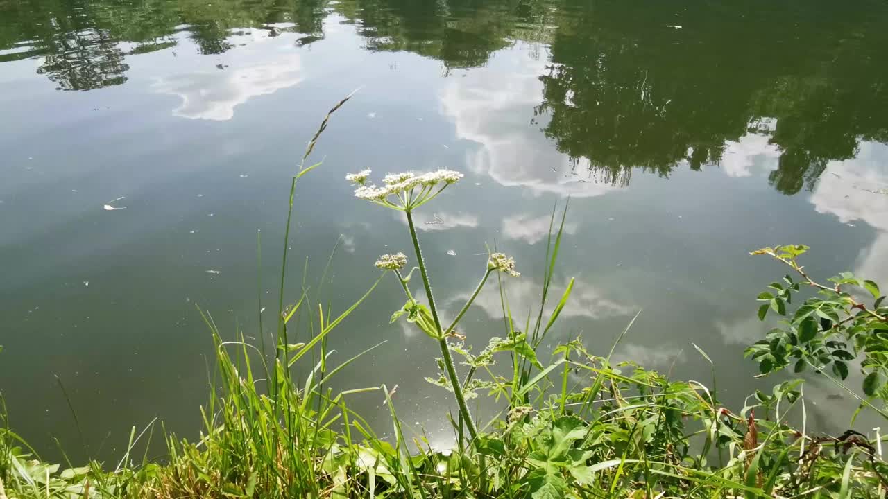 格洛斯特郡运河视频素材