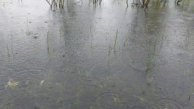 淡水河上的雨水视频视频素材