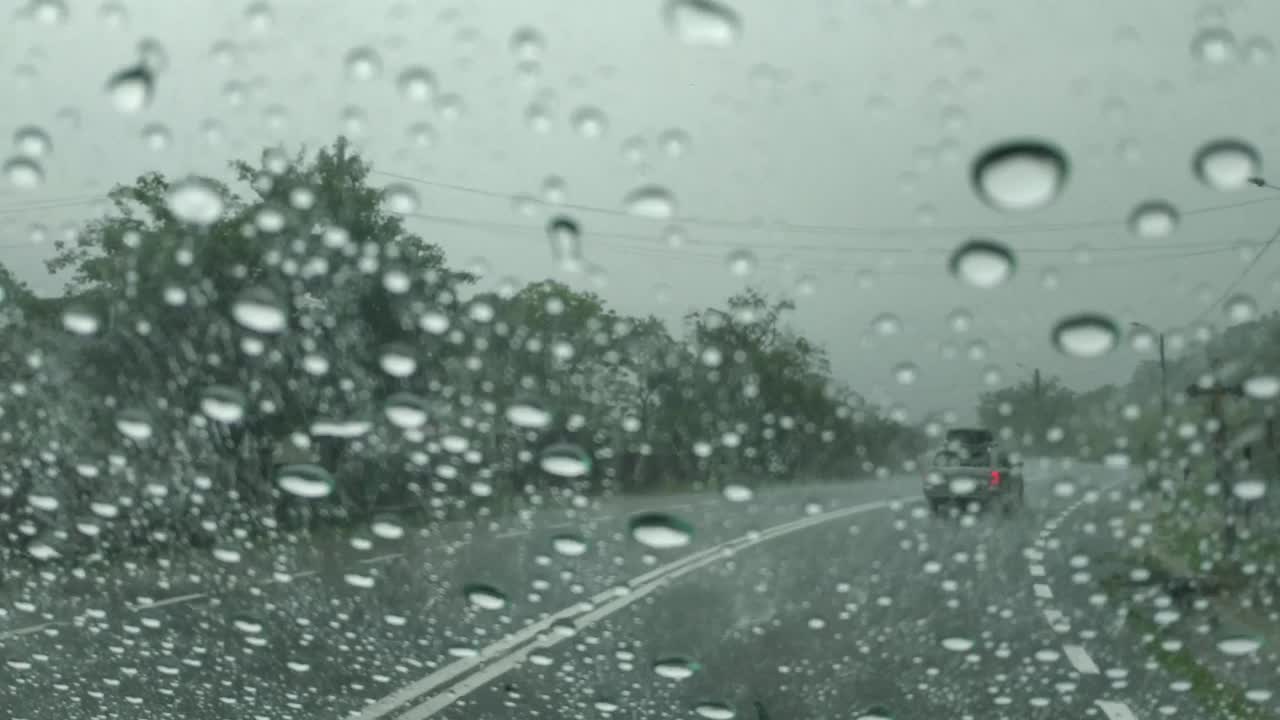 路上的汽车穿过一片绿色的森林，外面下着倾盆大雨视频素材