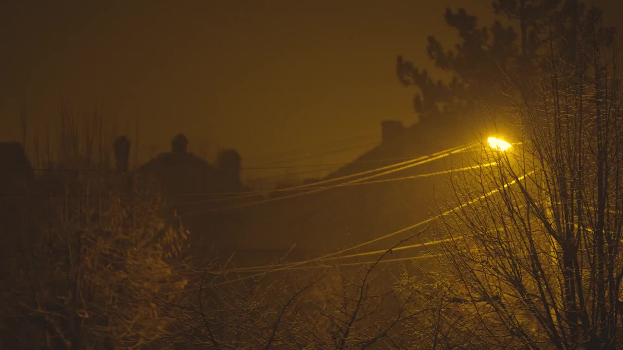 在一条僻静的街道上，光滑的积雪静静地落在光秃秃的树上视频素材