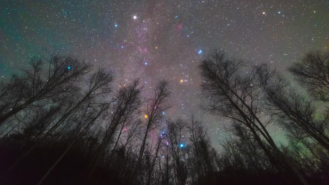 自然风景——韩国江原道麟溪郡桦树(桦树)夜空中的星星视频素材