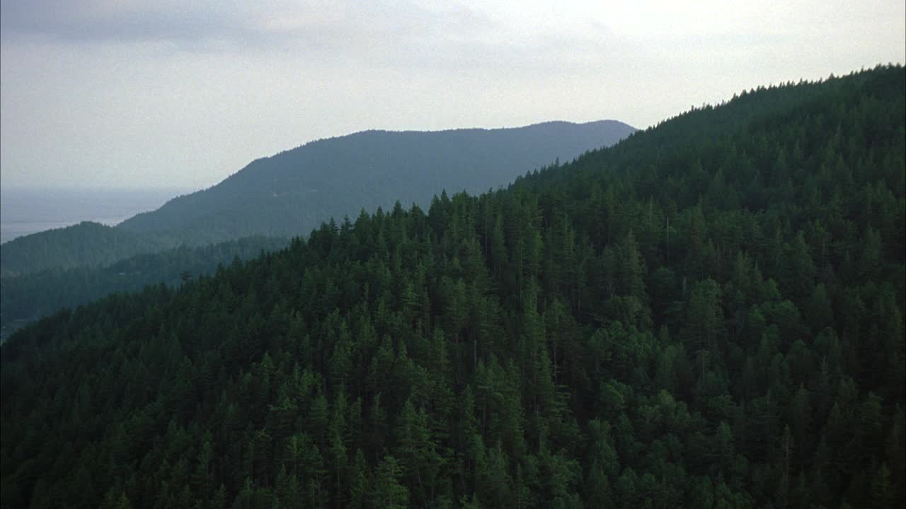 在树木或森林覆盖的岛屿上的空中。山脉。bg可见水。可能是湖泊、海湾或海洋。视频素材