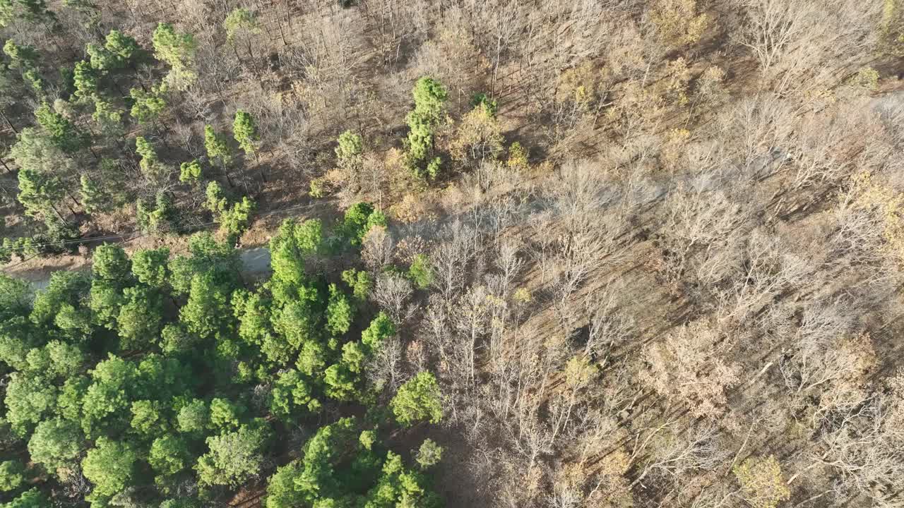 冬天鸟瞰森林和道路视频素材