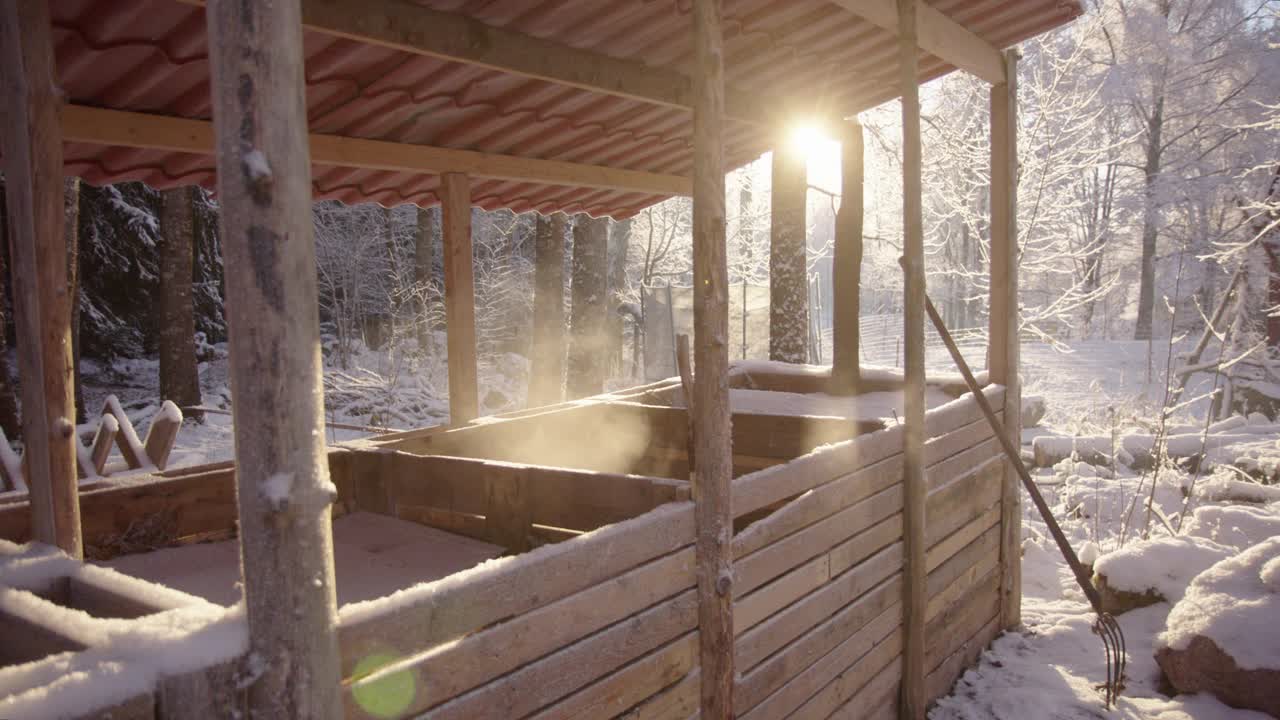 令人惊叹的背光蒸笼被雪包围视频素材