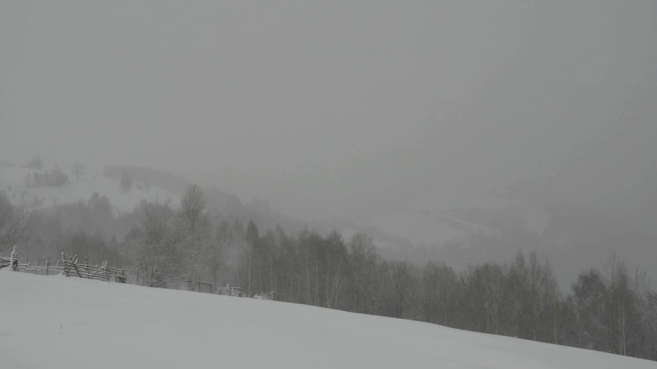 冰冻的雾和疣滴在山区积雪覆盖的森林上613视频素材