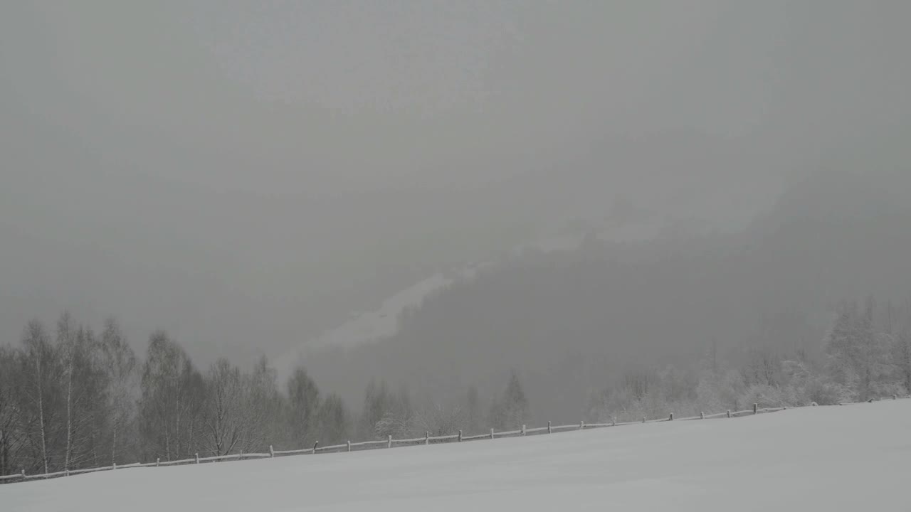 白桦林覆盖着白雪，在皑皑白雪之外，你可以看到一个被遗弃的小村庄的房屋视频素材