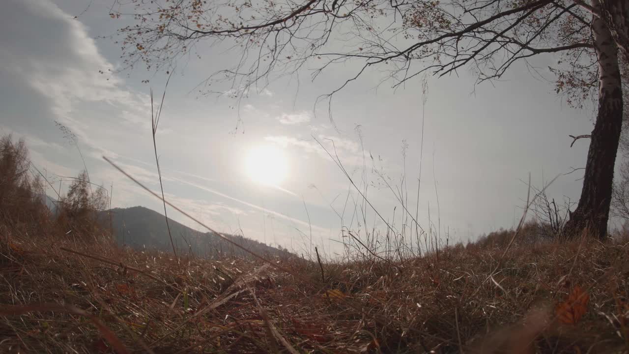 风中的干草。太阳升起，晴空万里，几朵白云视频素材