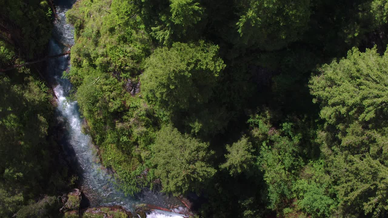 鸟瞰图，蓝绿色清澈的水流过森林和悬崖视频素材