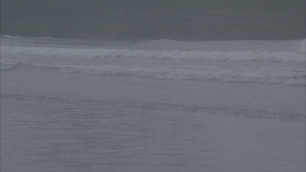 从右到左，海浪拍打着海滩，沙滩上的枝形吊灯。怪异的。雾蒙蒙的,阴暗的。bg的树木和岩石海岸。超现实主义。视频素材