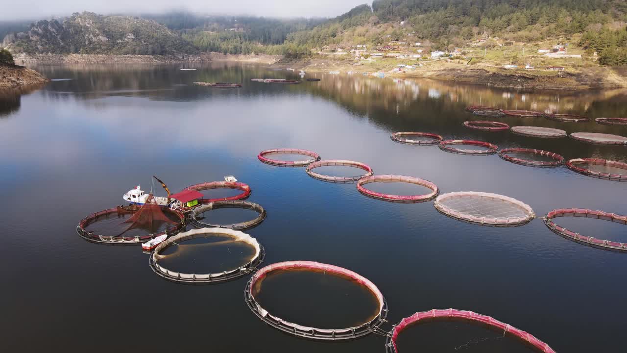 在山区的湖里，养鱼业和环形网箱的鳟鱼养殖场视频素材