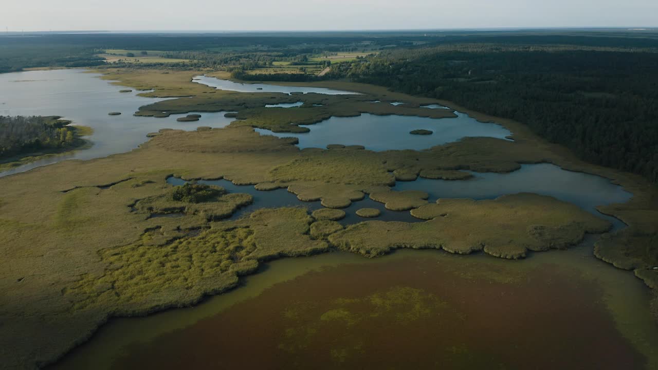 空中拍摄的湿地和森林视频下载