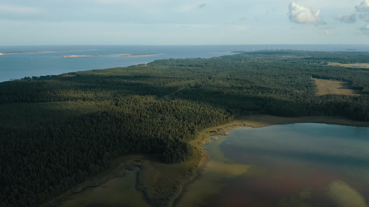 空中拍摄森林和海洋，远处有风车发电厂视频素材