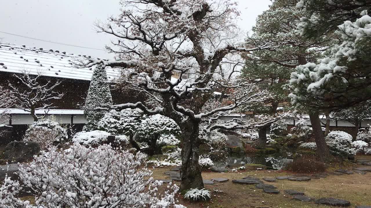 日本花园里的雪视频下载