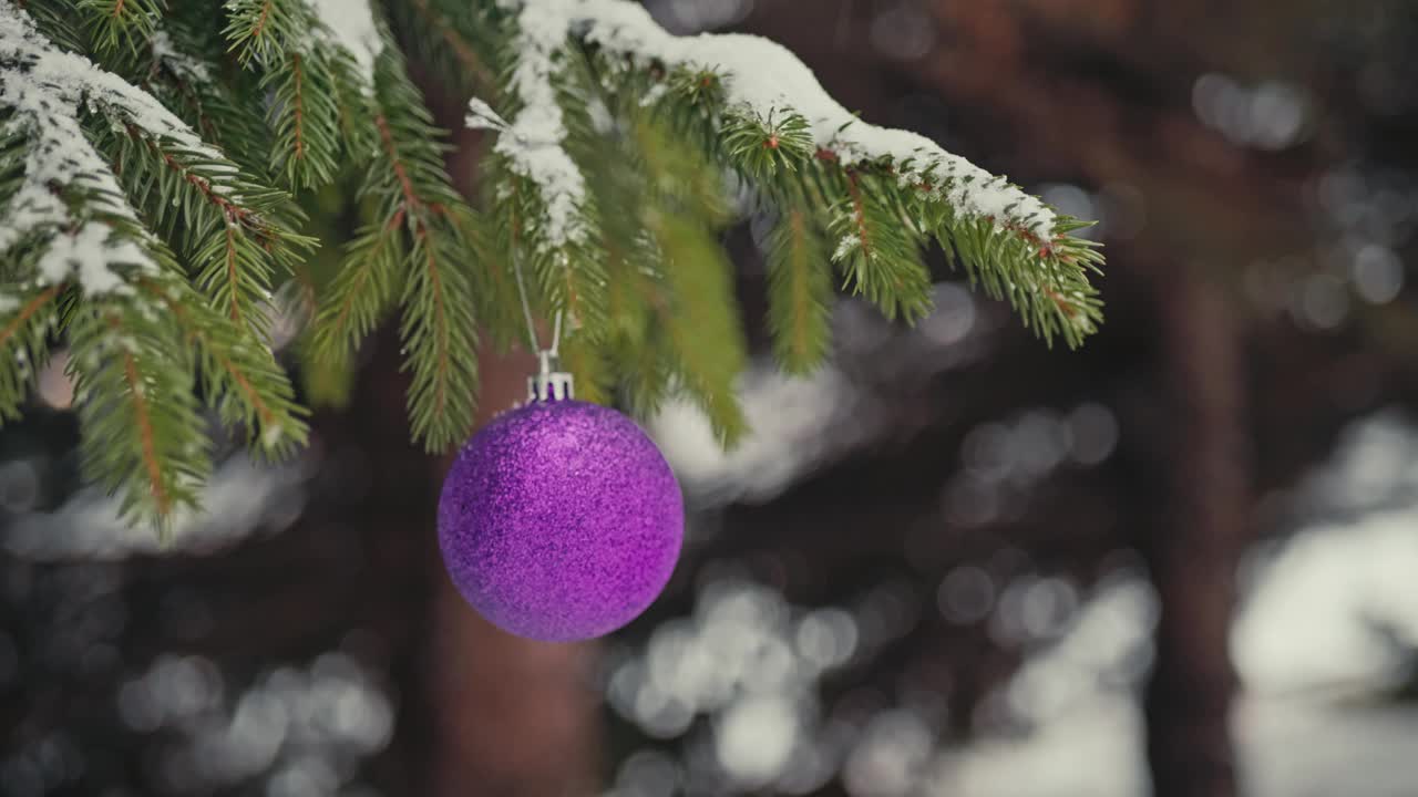 紫色的圣诞树球挂在白雪覆盖的户外云杉树枝上视频素材