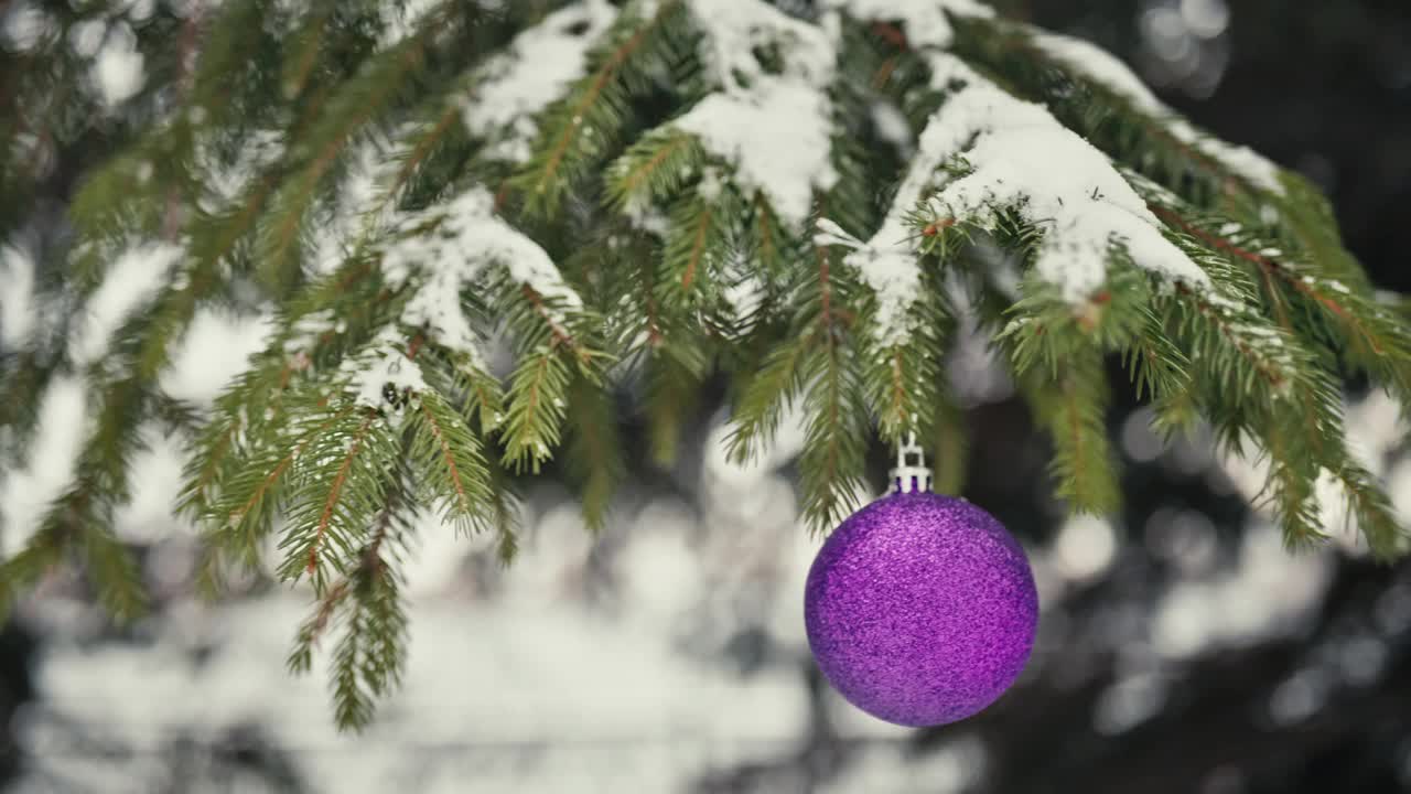 紫色的圣诞球挂在雪地的树枝上的户外冬天视频素材