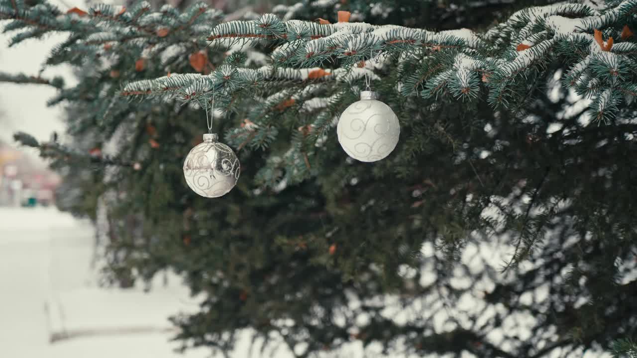 白色的圣诞树球挂在户外的蓝色云杉树上积雪的树枝上视频素材