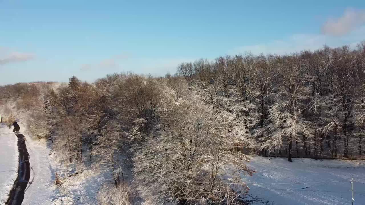 一架无人机在冬季森林上空飞行的鸟瞰图。视频素材