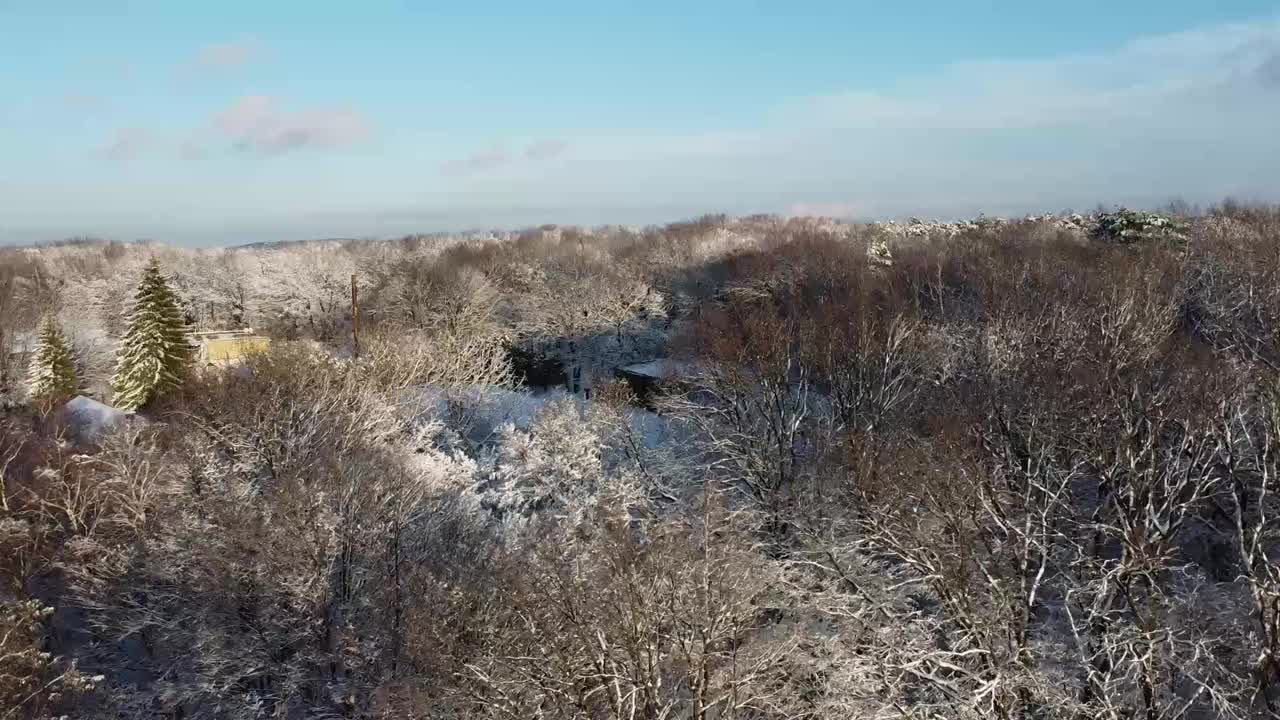 一架无人机在冬季森林上空飞行的鸟瞰图。视频素材