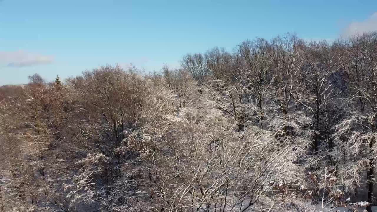 一架无人机在冬季森林上空飞行的鸟瞰图。视频素材