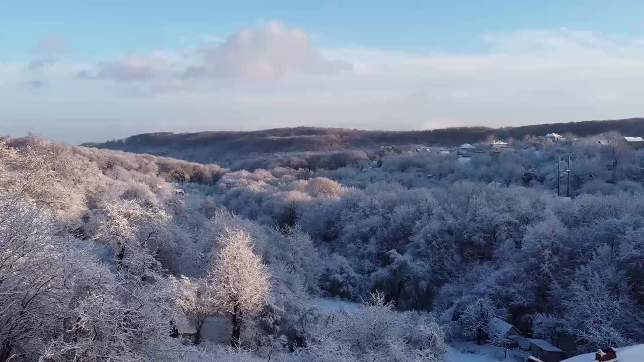 一架无人机在冬季森林上空飞行的鸟瞰图。视频素材