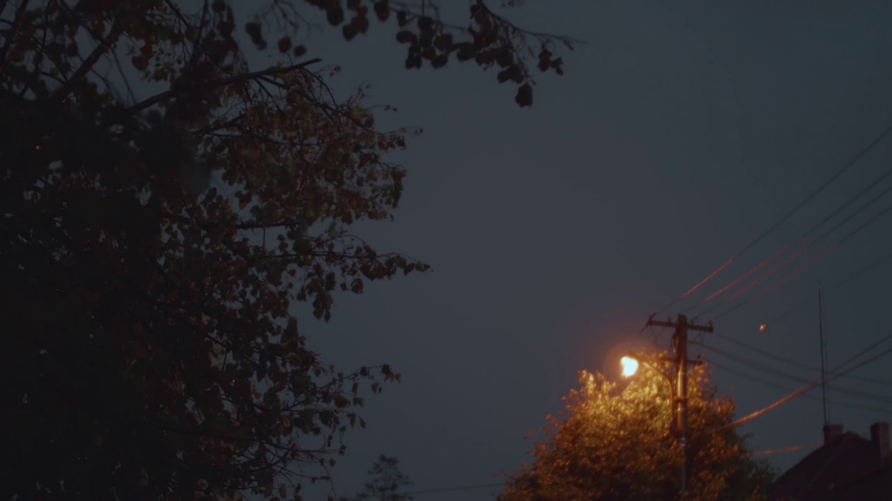 晚上，街道上有房子，路边有高大的树，下着电闪雷鸣的雨视频素材