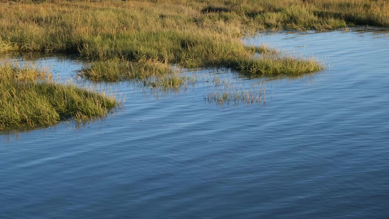 泰晤士河河口平静的蓝色海水拍打着两树岛的海岸视频素材