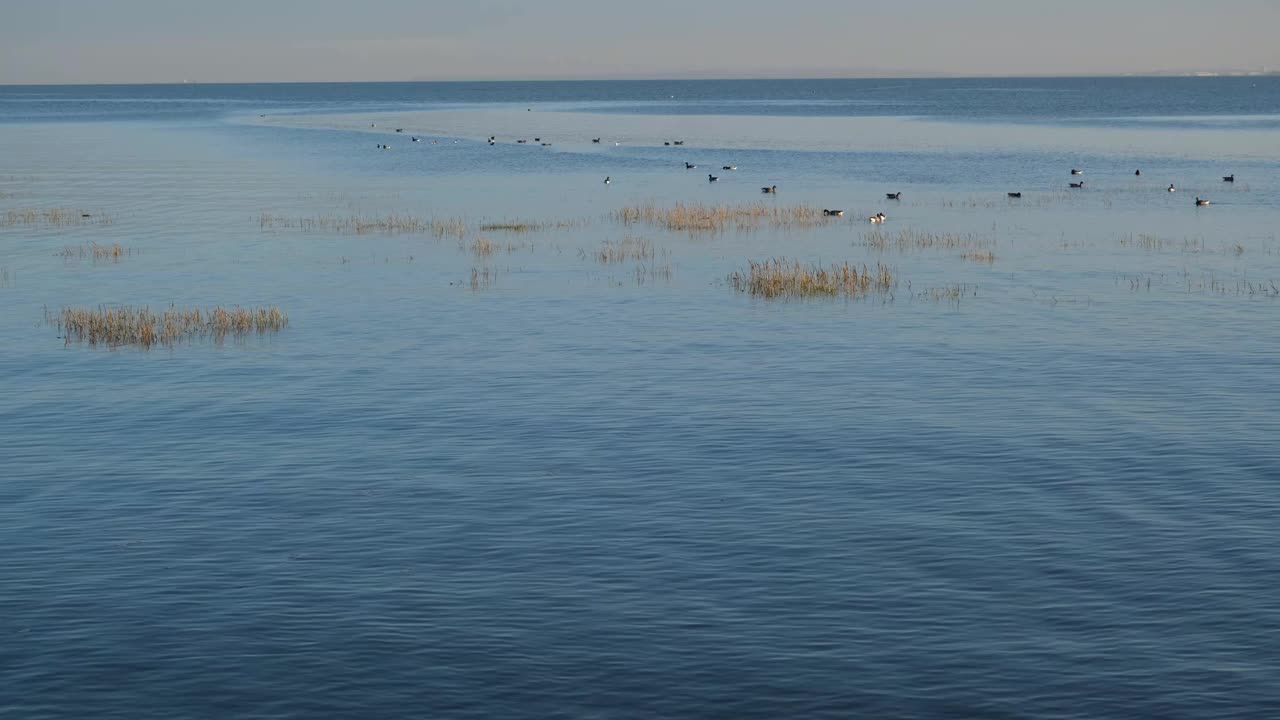 极简主义的观点，在平静的模糊的水泰晤士河河口附近的Southend海上视频素材