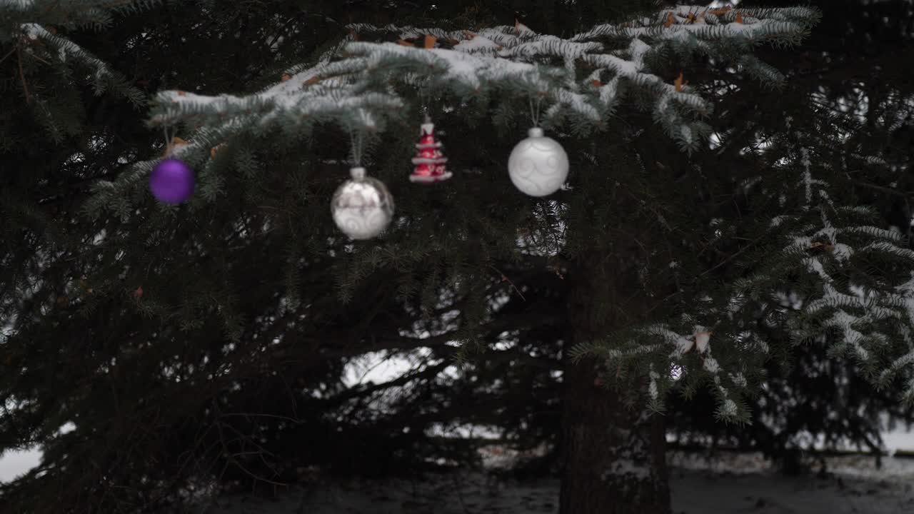 户外下着雪，圣诞玩具在蓝色的云杉树枝上摇摆视频素材